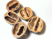 Load image into Gallery viewer, Handmade Walnut Buttons.    Price per Button