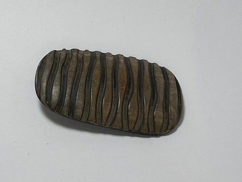 Large Brown Carved Horn Button.   Price per Button