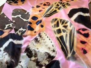 Designer Abstract Butterfly Wings 100% Silk Pongee      1/4 Metre Price