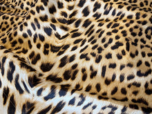 Load image into Gallery viewer, #1406 Designer Exclusive Leopard 100% Silk  100% Silk Remnant