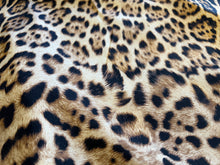 Load image into Gallery viewer, Exclusive Luxe Leopard 95% Silk 5% Elastane    1/4 Metre Price