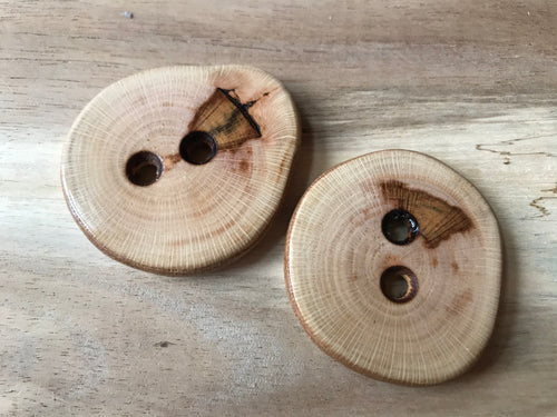 Sycamore Wood Button.    Price per Button