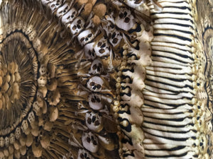 Exclusive Designer 98% Cotton 2% Elastane Knit.    1/4 Metre Price